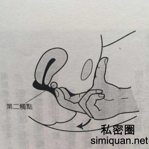 1592058267428030249.jpeg 下载.jpeg