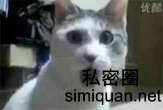 1594487432429064097.jpg JnCfPB_meitu_4.jpg