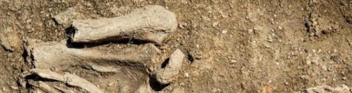 1650777334988029144.jpg mysterious-heavy-lead-coffins-of-the-ancients-picture-6-Iy0ZtgRdv.jpg