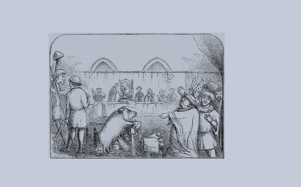 1648889557187071696.jpg 11-interesting-and-quirky-historical-facts-that-make-everyone-think-its-a-joke-picture-10-hSg13rif2.jpg