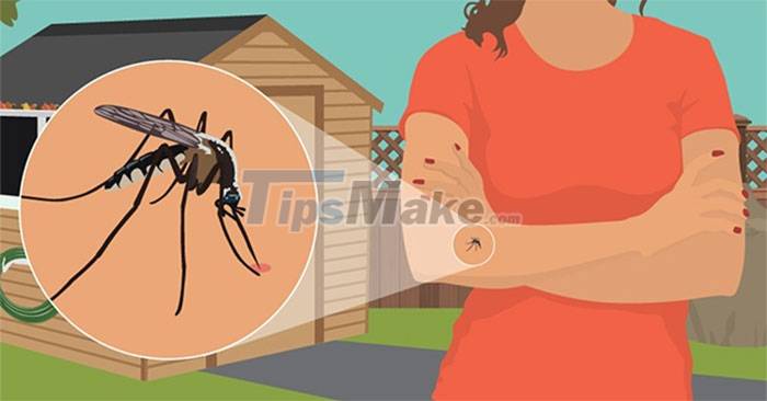 1648719790289067757.jpg what-color-clothes-are-most-susceptible-to-mosquito-bites-picture-1-ggEKq0mpQ.jpg