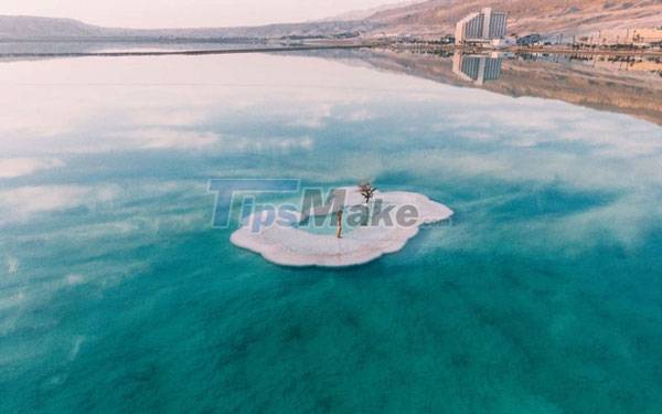1655050907046091854.jpg why-are-there-such-strange-names-as-dead-sea-black-sea-red-sea-picture-2-q8R3ZjyMn.jpg