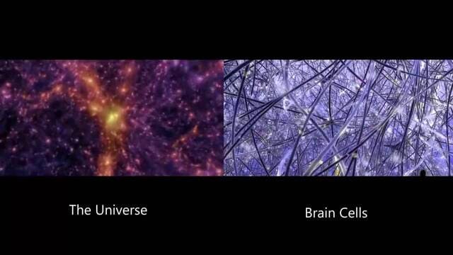 1649328475031052498.jpg deciphering-the-mystery-of-consciousness-the-human-brain-can-work-in-11-dimensions-picture-2-qR4zuVEEk.jpg